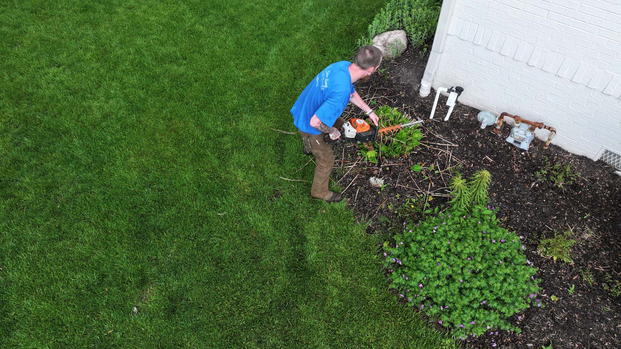 Lanscape Maintenance