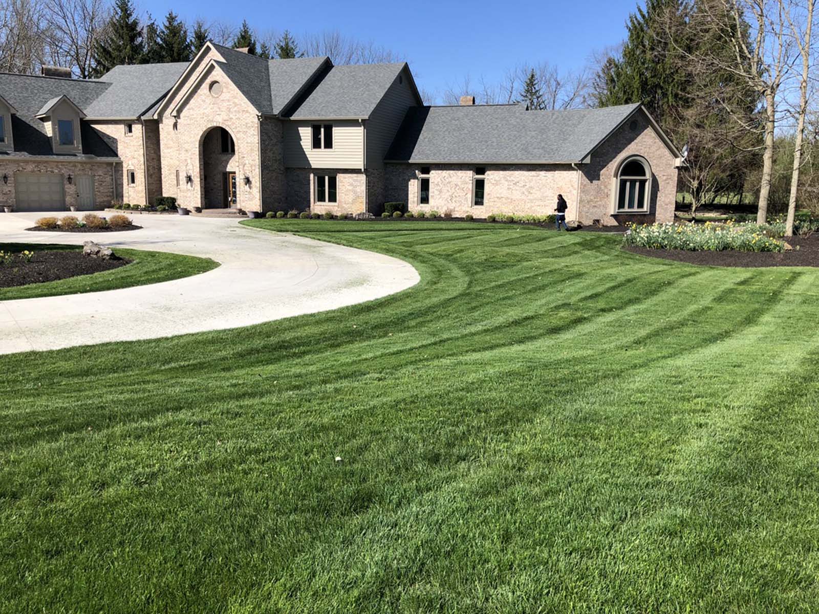 Striped Lawn