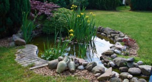 Water Features Brownsburg Indiana | Schedule Your Consultation